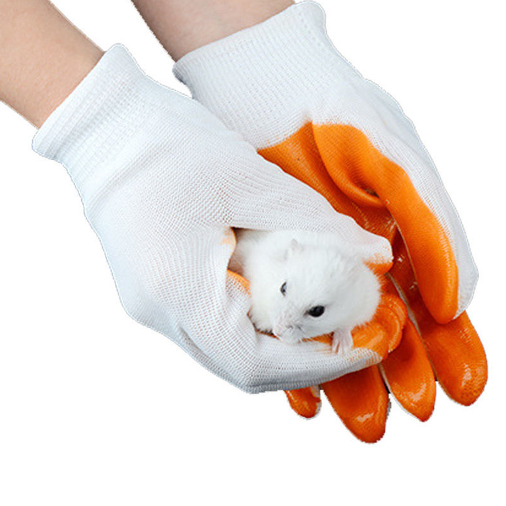 1쌍 동물 보호 장갑, 물림 방지 두꺼운 고무 소재,  - Cut Resistant Glove 리뷰 및 가격