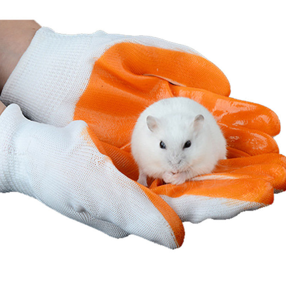 1쌍 동물 보호 장갑, 물림 방지 두꺼운 고무 소재,  - Cut Resistant Glove 리뷰 및 가격
